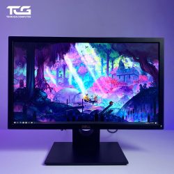 DELL E2016H