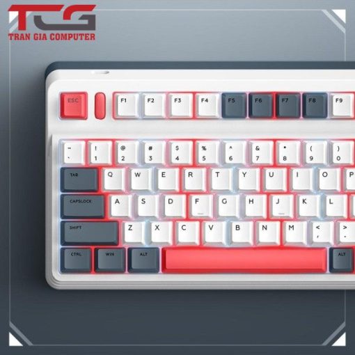 Bàn phím cơ IQUNIX L80 Formula Typing