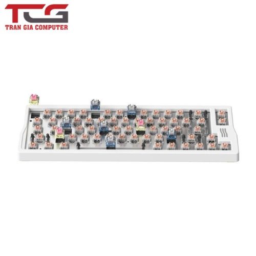 Bàn phím cơ IQUNIX Q66 Wireless Mechanical Keyboard