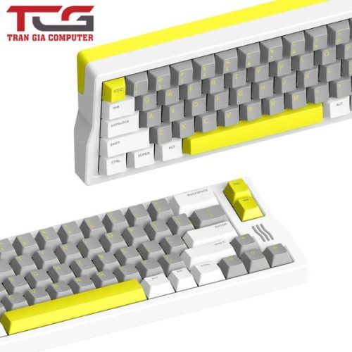 Bàn phím cơ IQUNIX Q66 Wireless Mechanical Keyboard