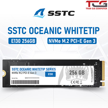 Ổ cứng SSD SSTC Oceanic Whitetip E130 256GB NVMe