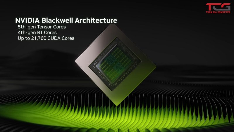 Kiếm trúc Blackwell