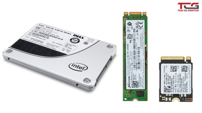 Ổ cứng HDD và SSD