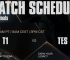 t1 vs tes