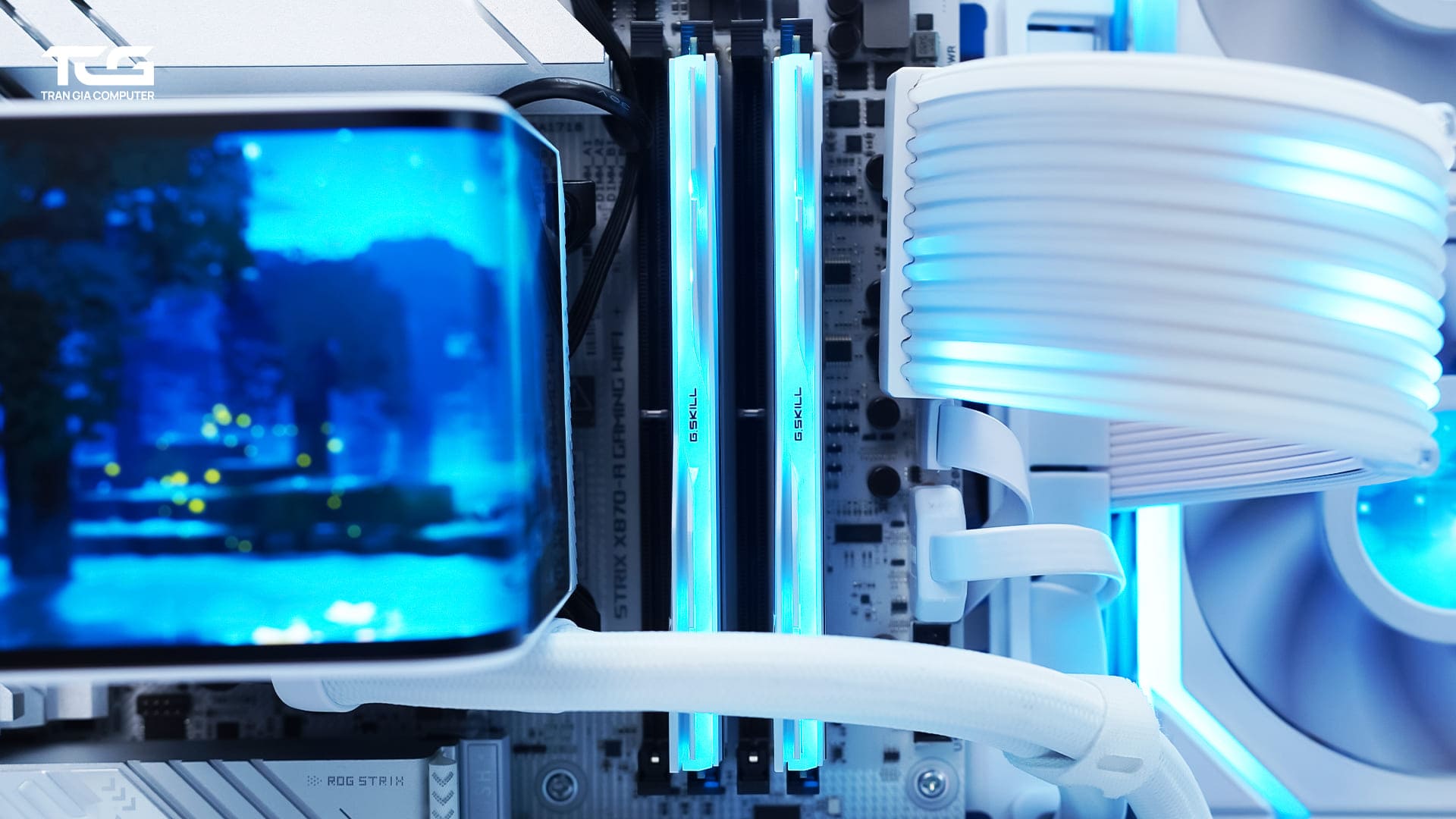 Ryzen 9 9950X 5080 website TRẦN GIA COMPUTER I 16