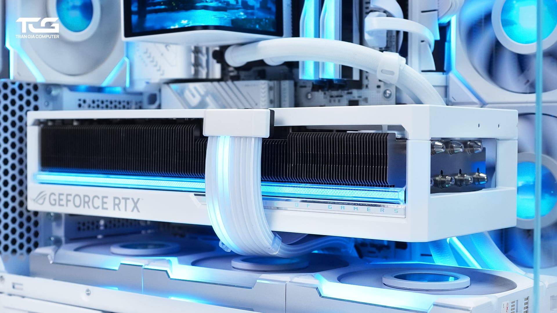Ryzen 9 9950X 5080 website TRẦN GIA COMPUTER I 6